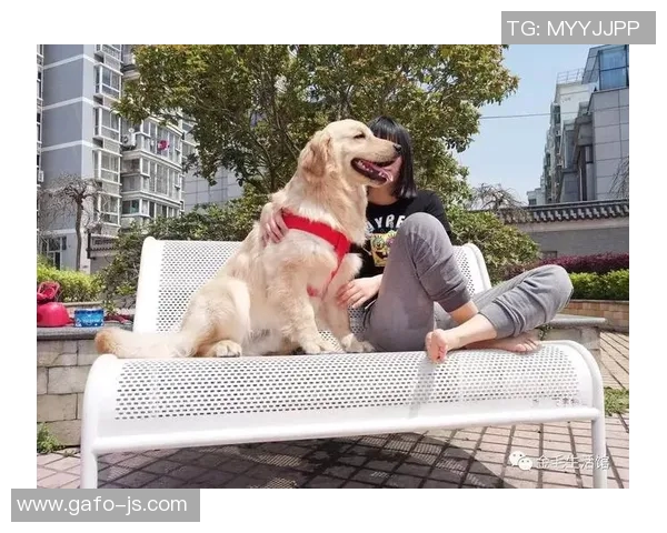 哪个足球明星与金毛犬的温馨生活让人羡慕不已