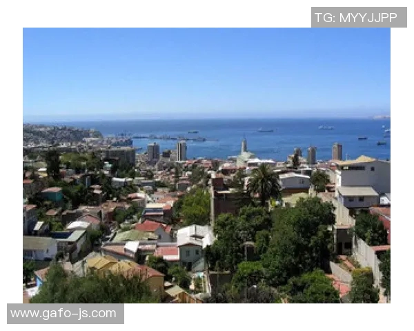 2019年巴西与秘鲁精彩对决回顾及赛后分析全景展示